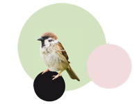 Kinderarztpraxis Vahrenwald Spatz